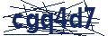 Human Verification Code