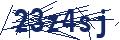 Human Verification Code