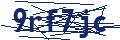 Human Verification Code