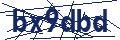 Human Verification Code