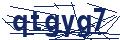 Human Verification Code