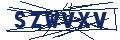 Human Verification Code