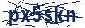 Human Verification Code