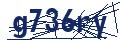Human Verification Code