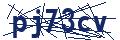 Human Verification Code