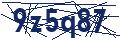 Human Verification Code