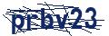 Human Verification Code