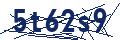 Human Verification Code