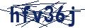 Human Verification Code