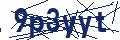 Human Verification Code