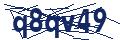 Human Verification Code