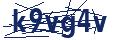 Human Verification Code