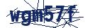 Human Verification Code