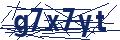 Human Verification Code