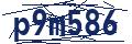 Human Verification Code
