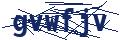 Human Verification Code